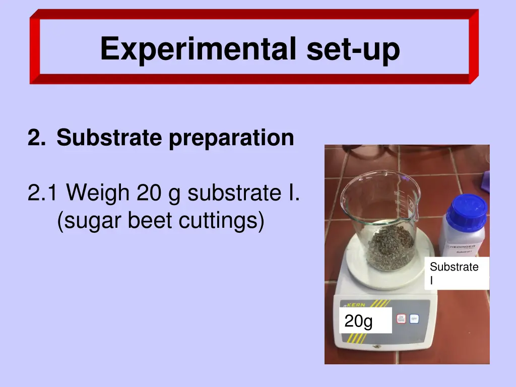 experimental set up 4