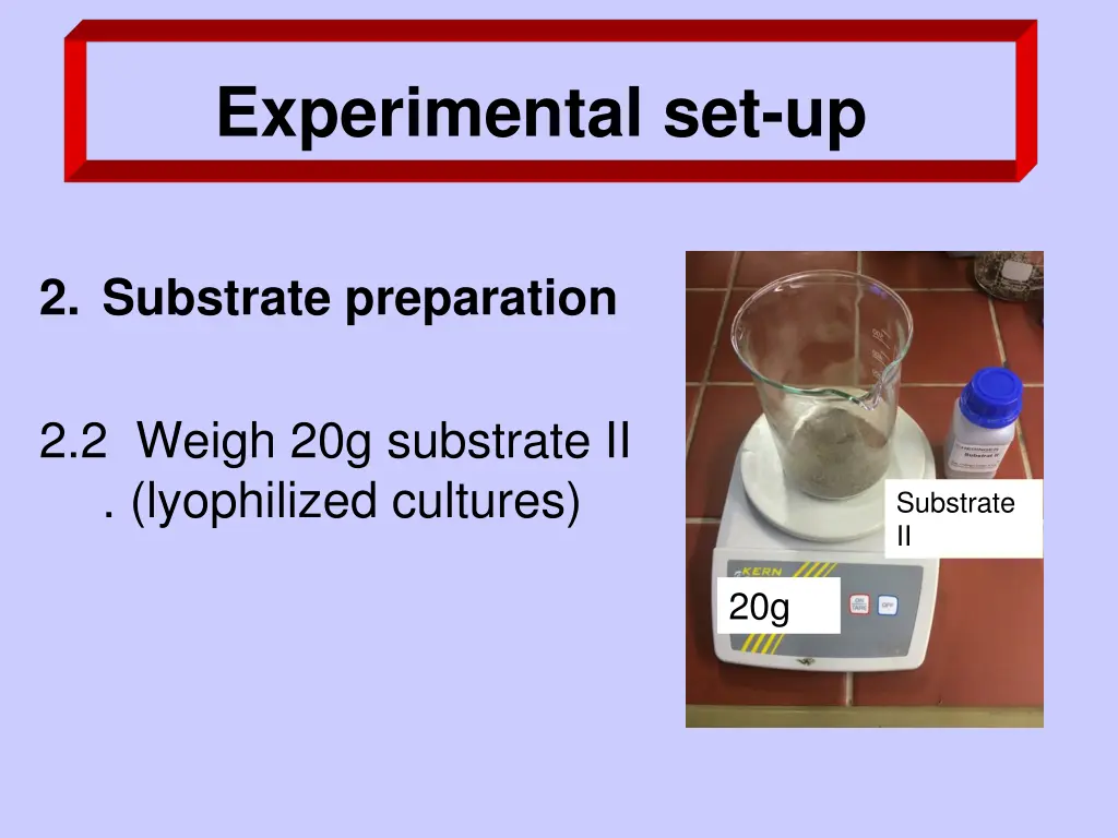 experimental set up 5