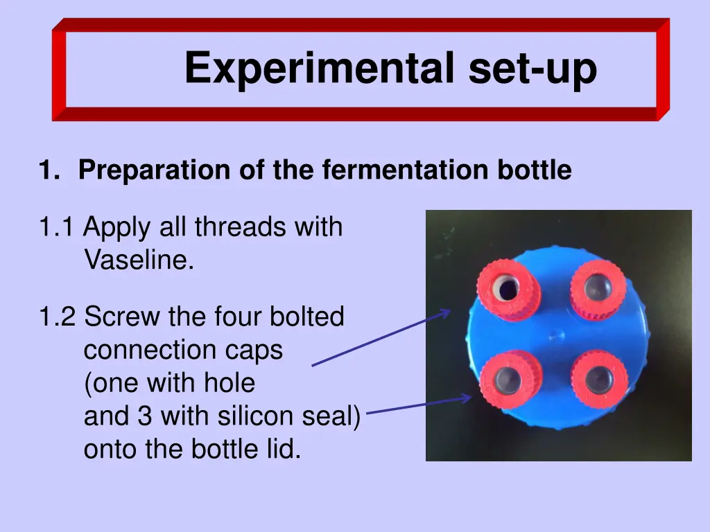 experimental set up