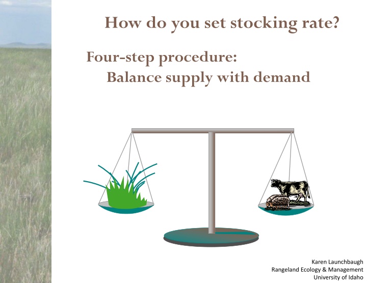 how do you set stocking rate