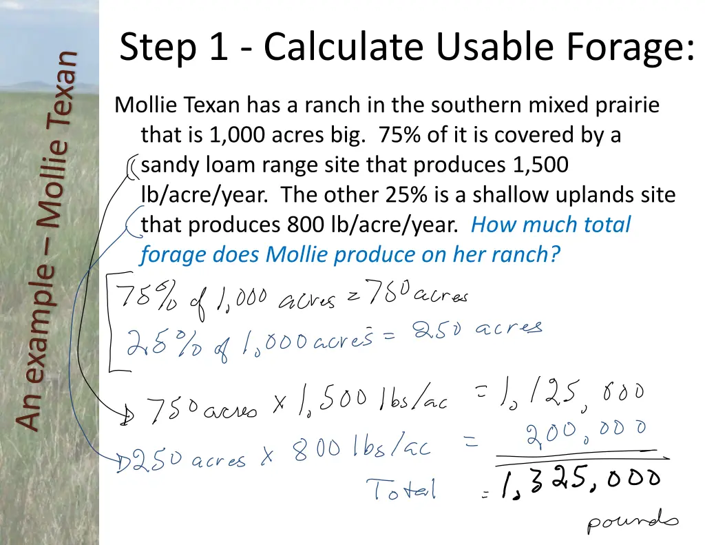 step 1 calculate usable forage 1