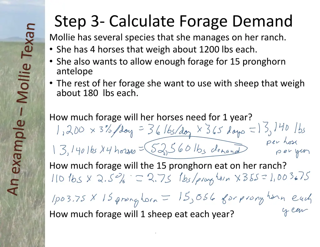 step 3 calculate forage demand 2