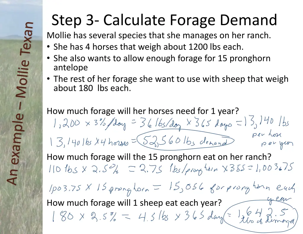 step 3 calculate forage demand 3