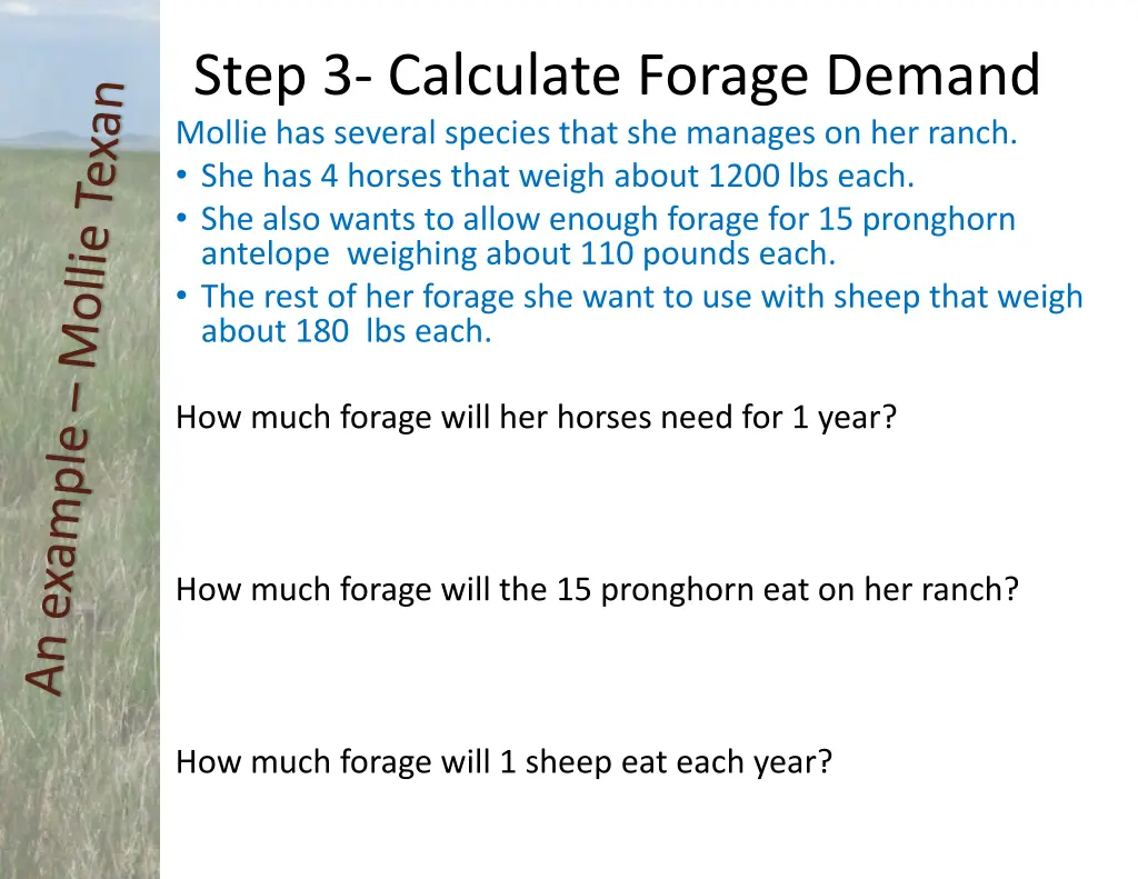 step 3 calculate forage demand