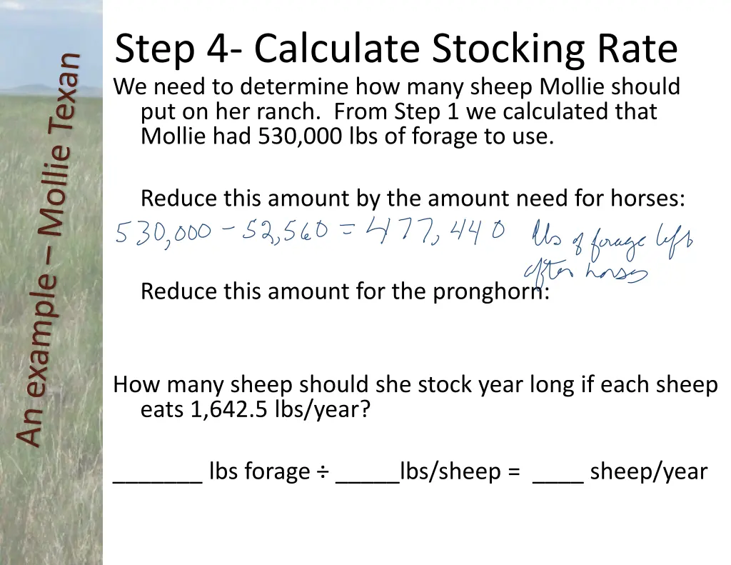 step 4 calculate stocking rate 1