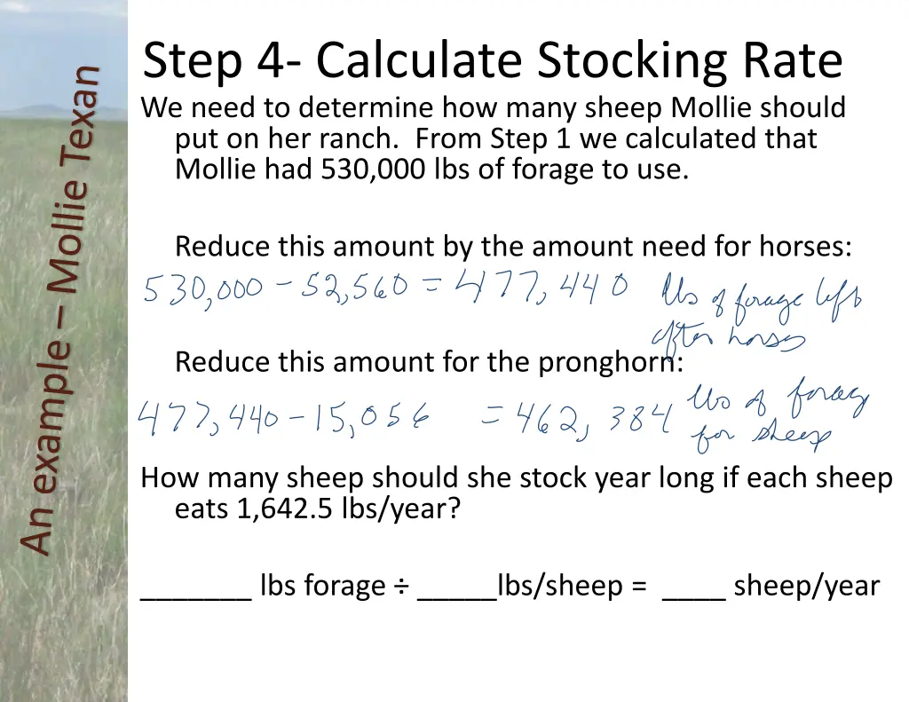 step 4 calculate stocking rate 2