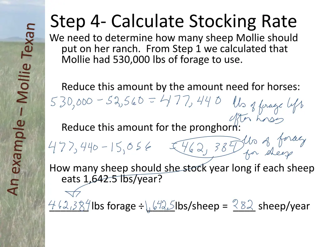 step 4 calculate stocking rate 3