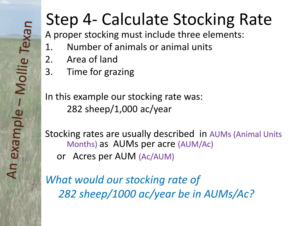 step 4 calculate stocking rate 4