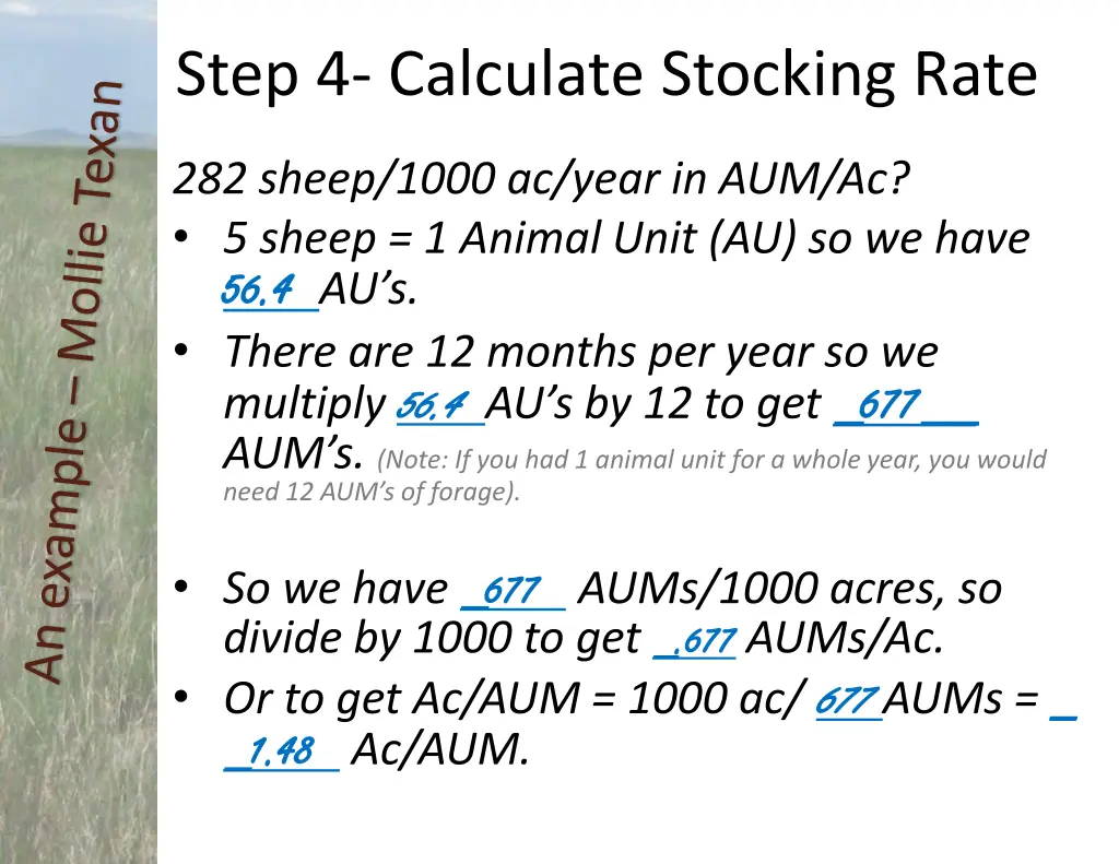 step 4 calculate stocking rate 7