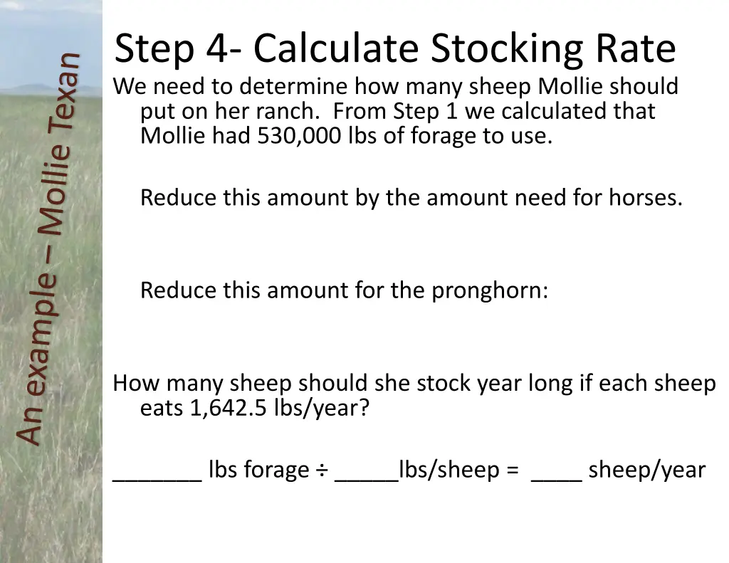 step 4 calculate stocking rate