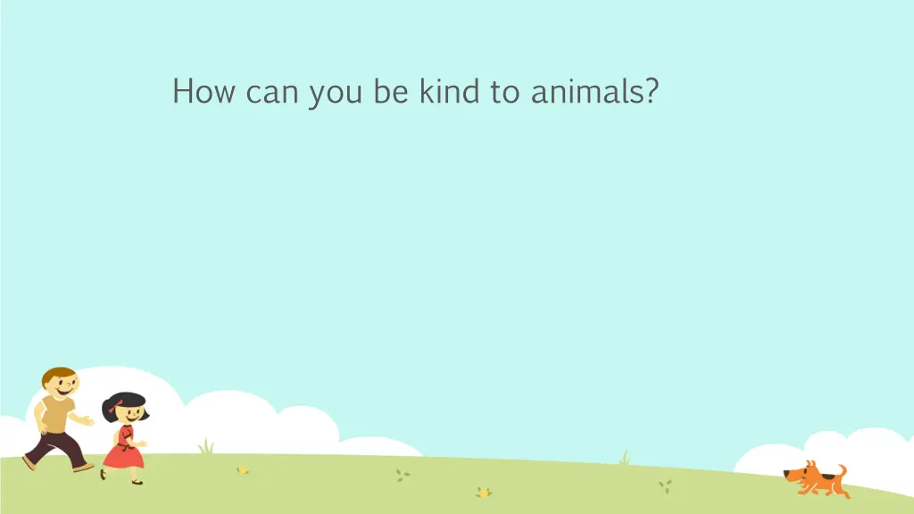 how can you be kind to animals