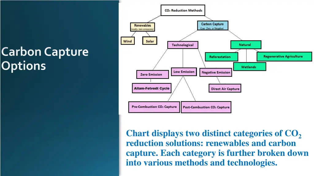 carbon capture options