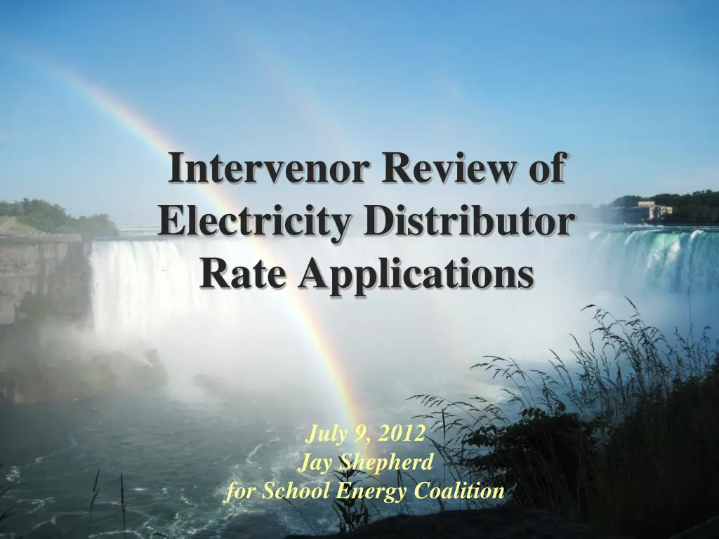 intervenor review of electricity distributor rate 1