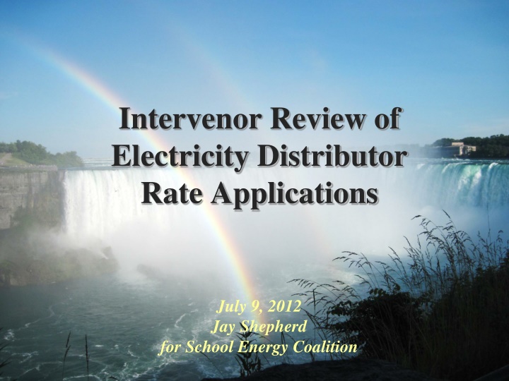 intervenor review of electricity distributor rate