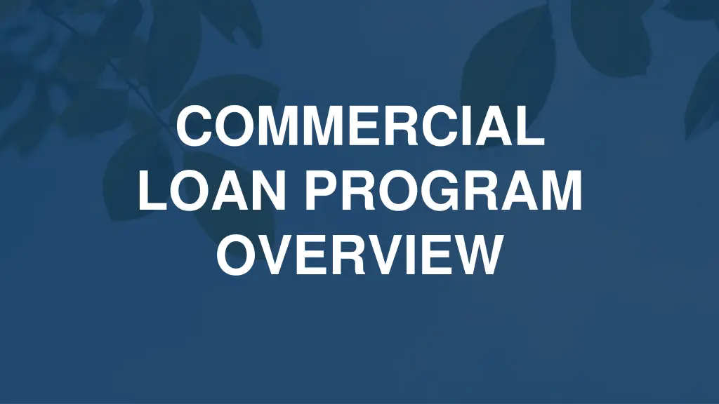 commercial loan program overview