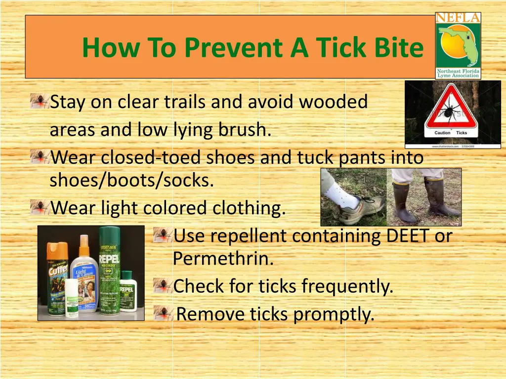 how to prevent a tick bite