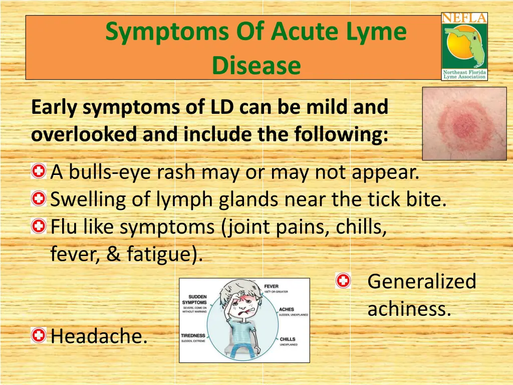 symptoms of acute lyme disease