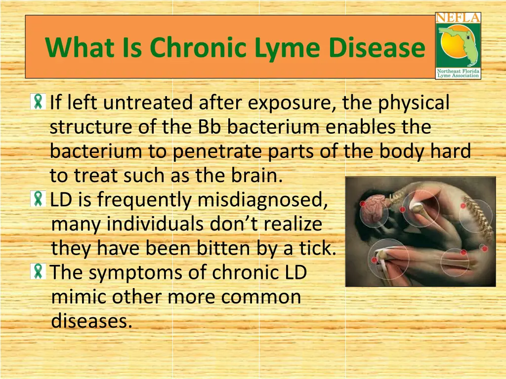 what is chronic lyme disease