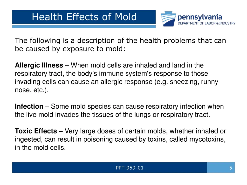 health effects of mold 1