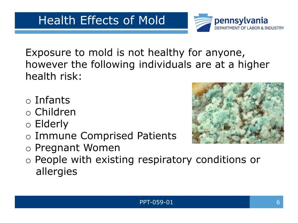 health effects of mold 2