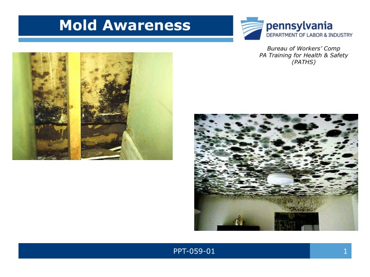 mold awareness