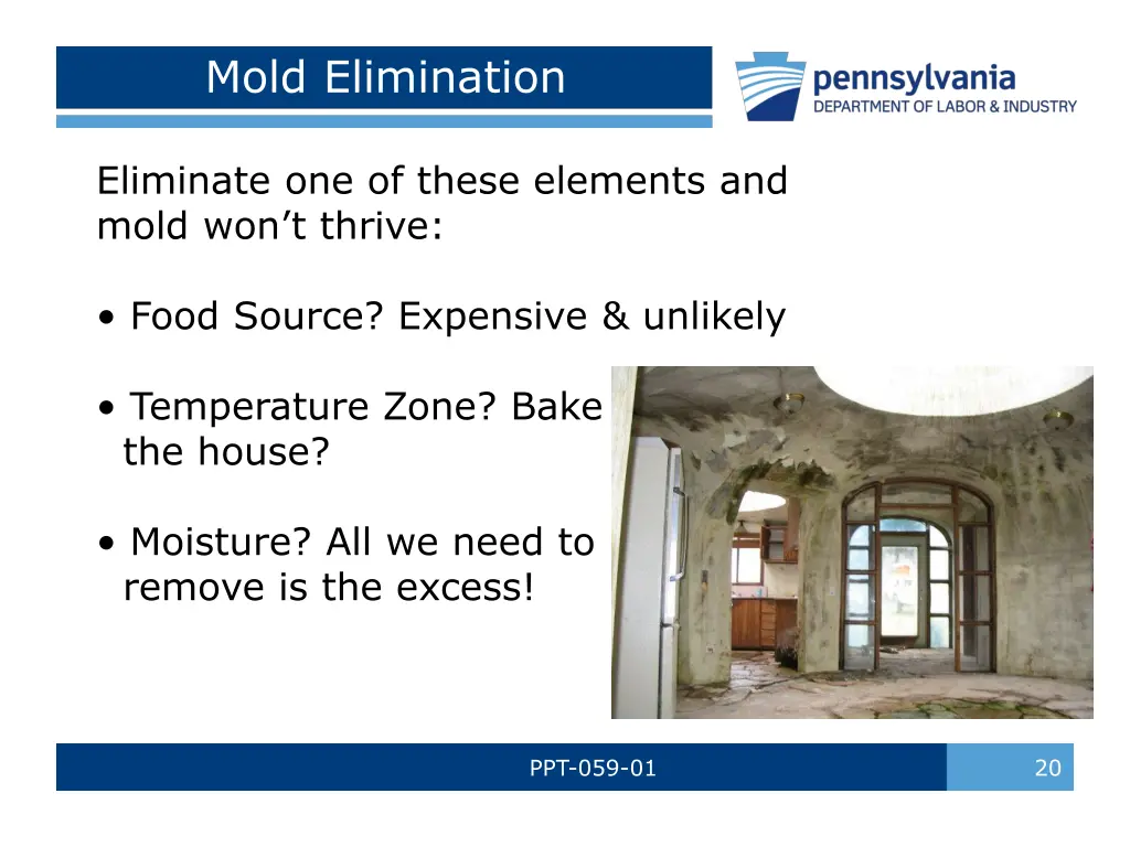 mold elimination