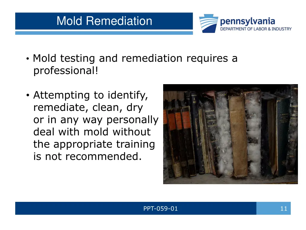 mold remediation