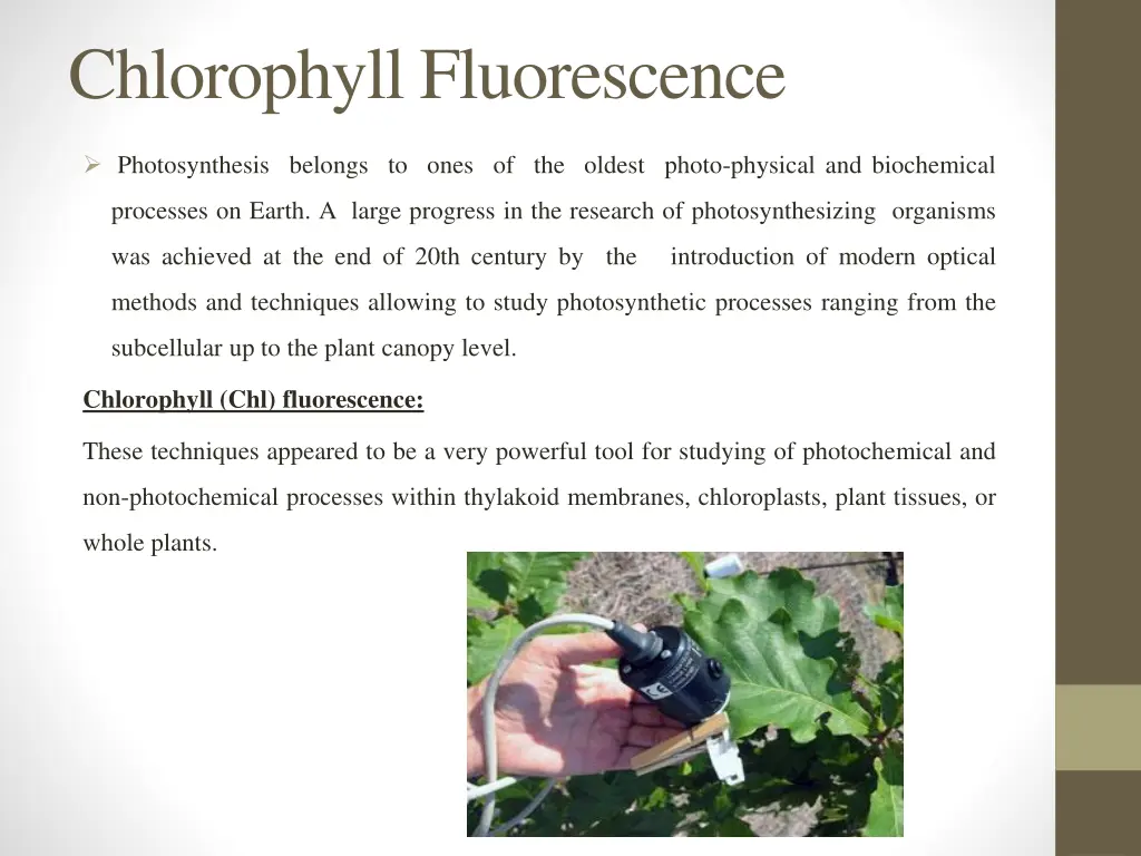 chlorophyll fluorescence 1