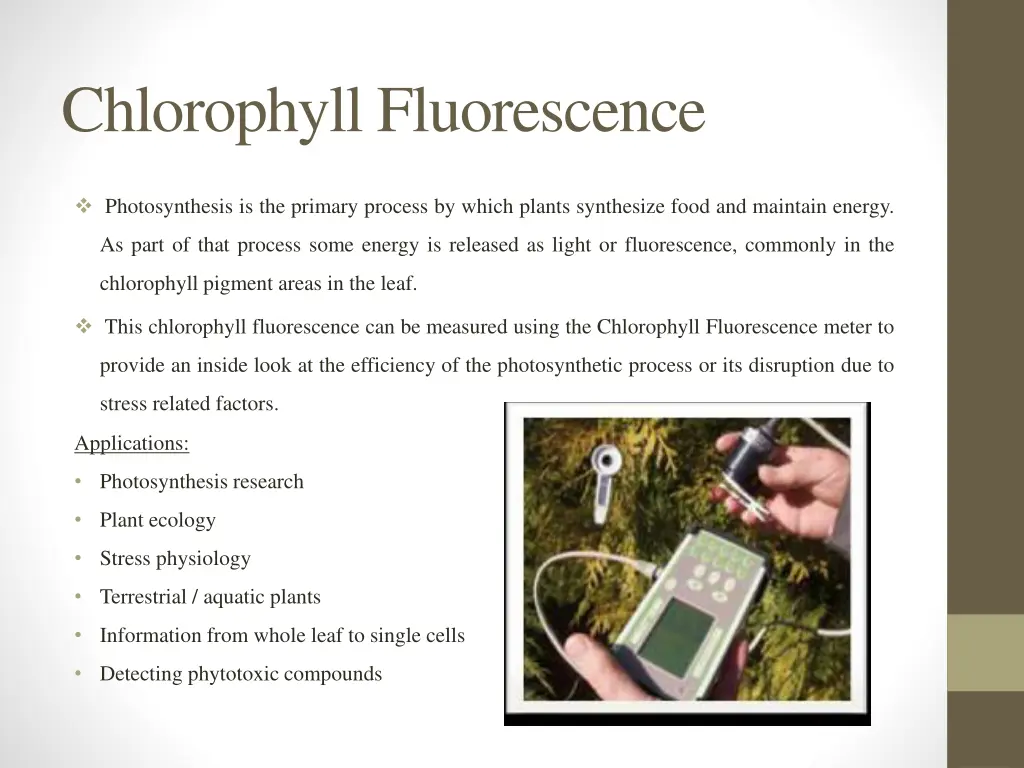 chlorophyllfluorescence