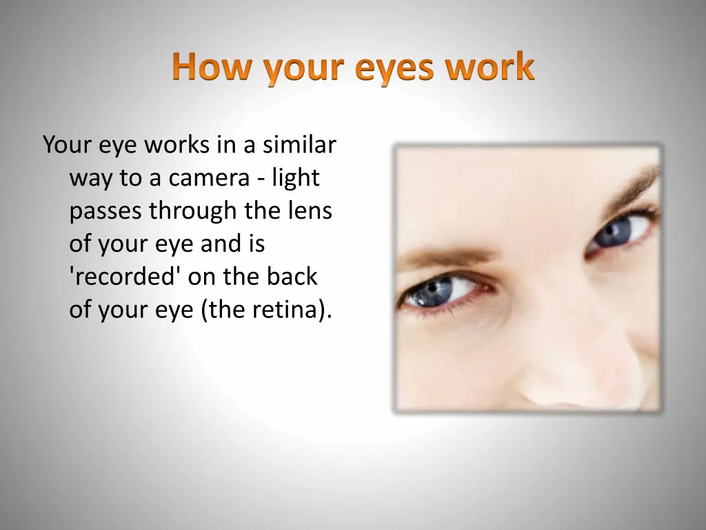 how your eyes work