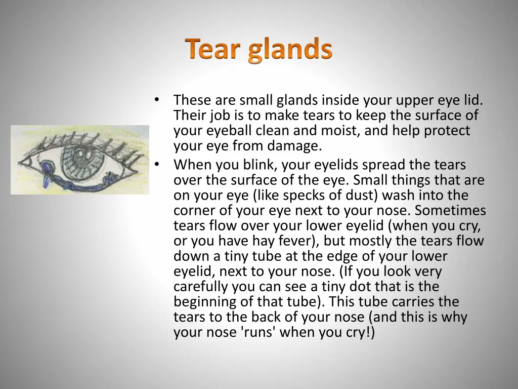 tear glands