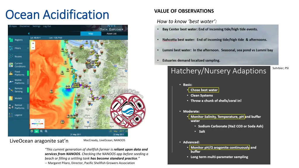 ocean acidification ocean acidification