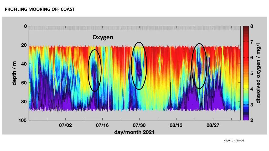 profiling mooring off coast