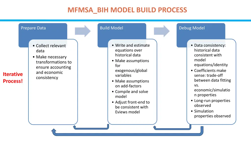 mfmsa bih model build process