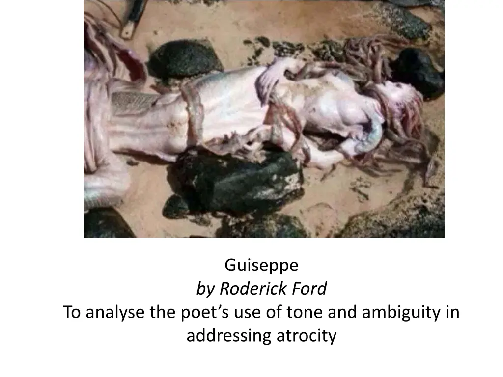 guiseppe by roderick ford