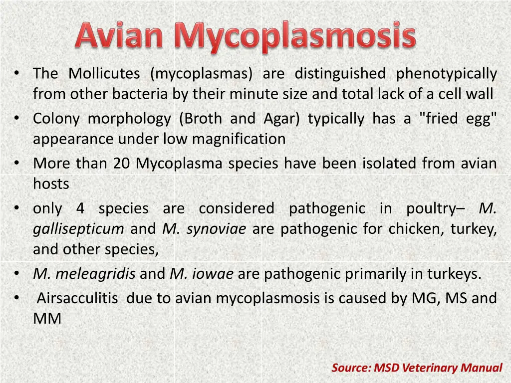 the mollicutes mycoplasmas are distinguished