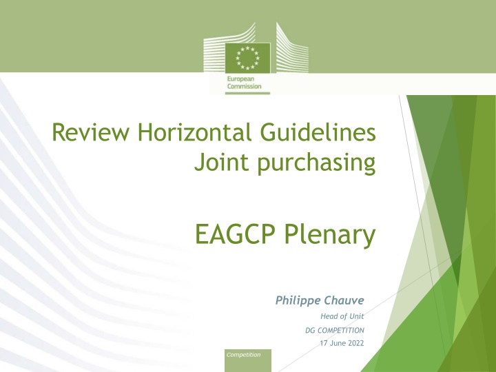 review horizontal guidelines joint purchasing