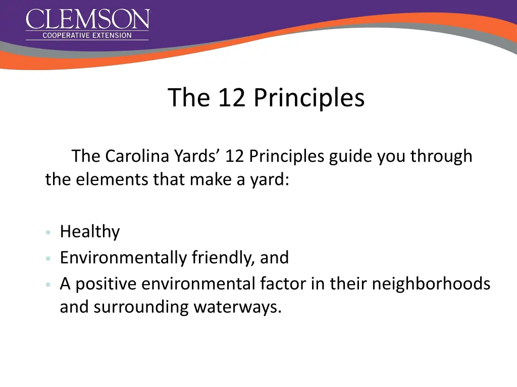 the 12 principles