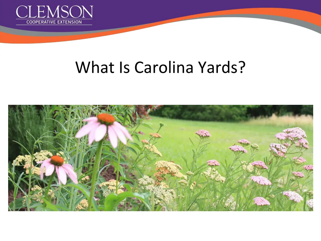 what is carolina yards