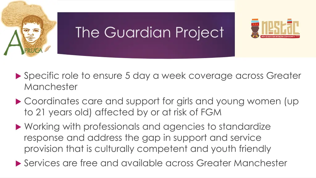 the guardian project 2