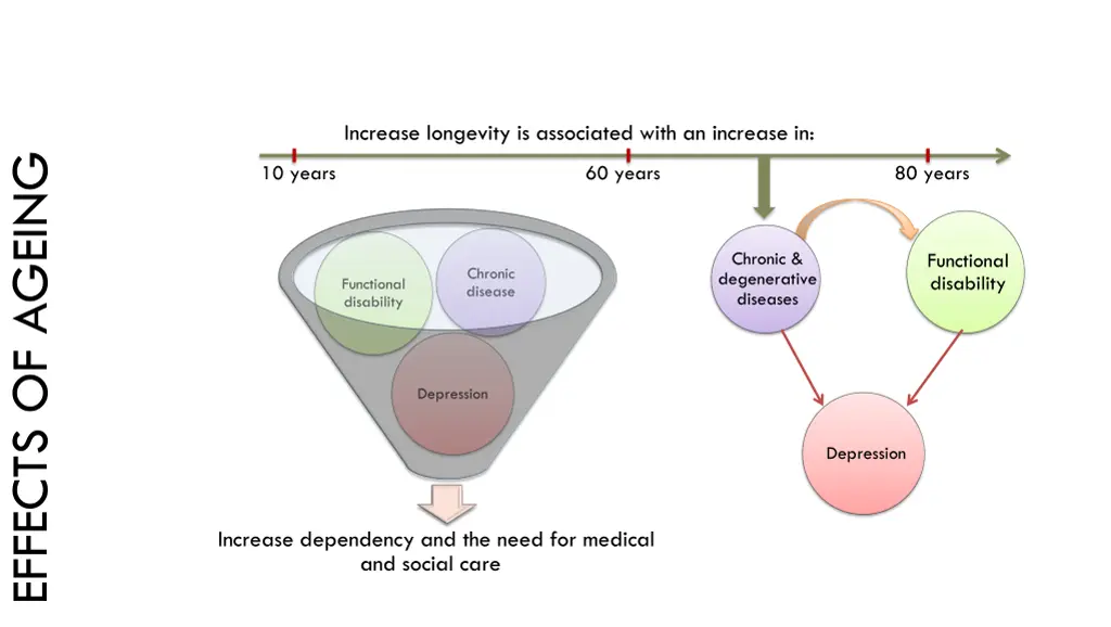 increase longevity is associated with an increase