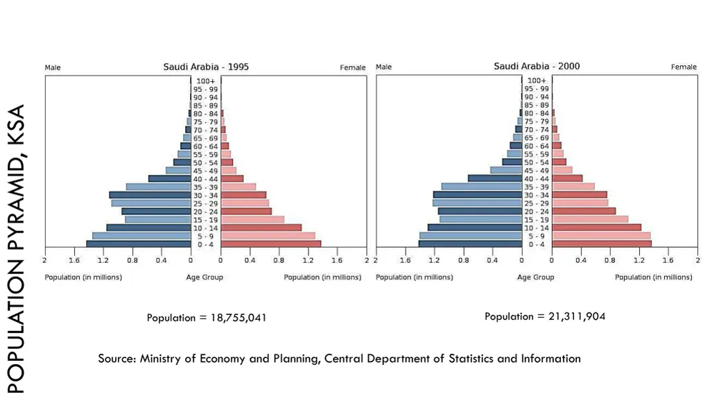 population pyramid ksa