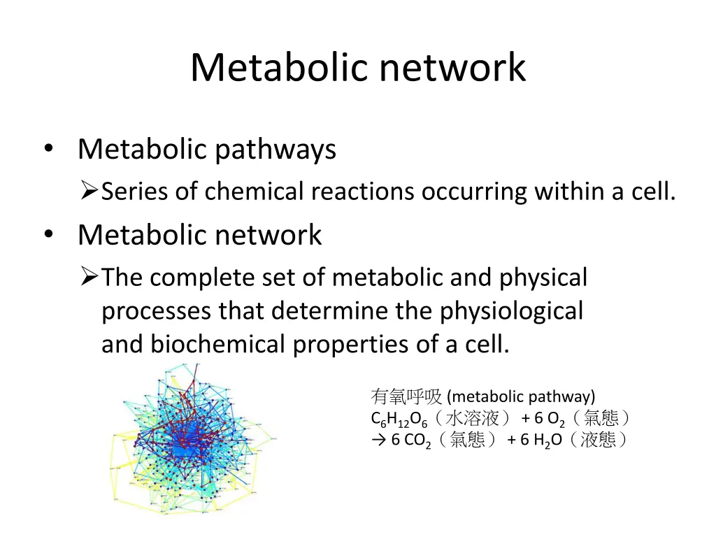 metabolic network