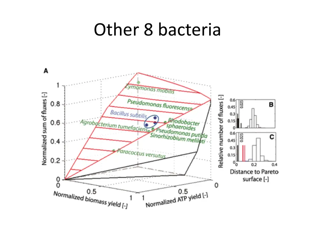 other 8 bacteria