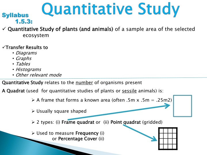 quantitative study