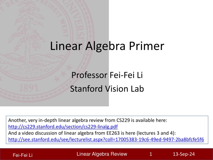 linear algebra primer