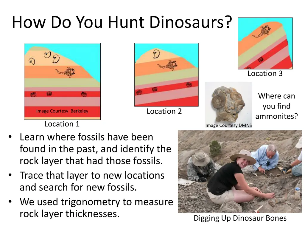 how do you hunt dinosaurs