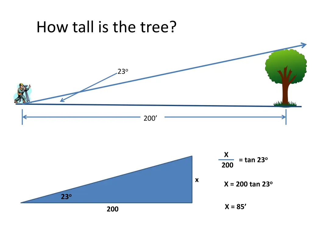 how tall is the tree 1