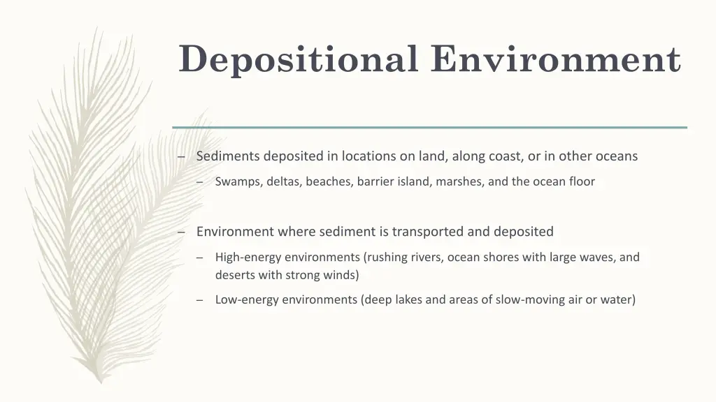 depositional environment