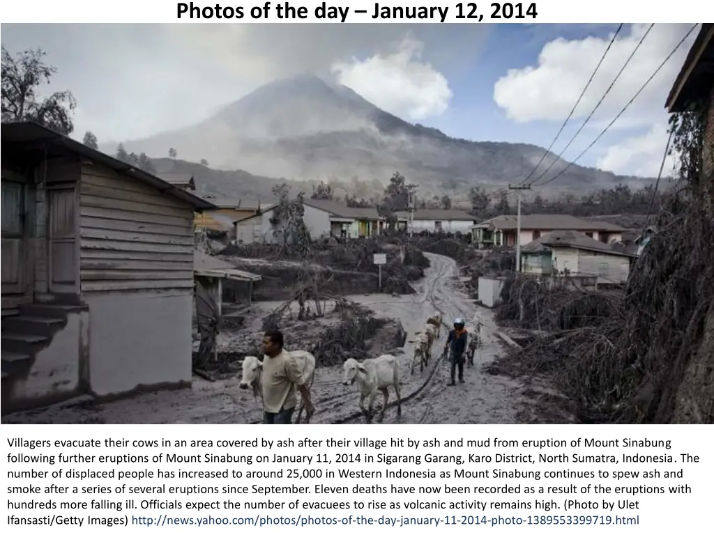 photos of the day january 12 2014